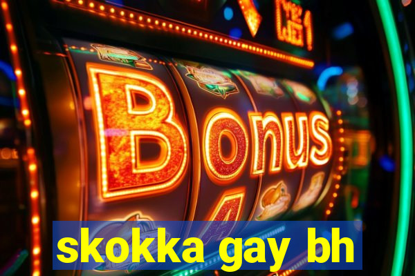 skokka gay bh