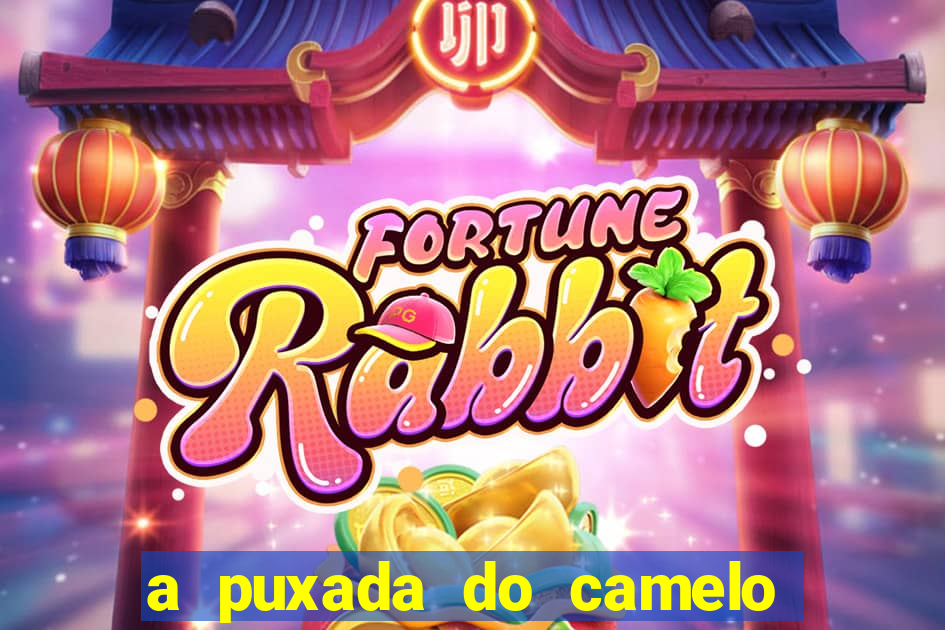 a puxada do camelo no jogo do bicho