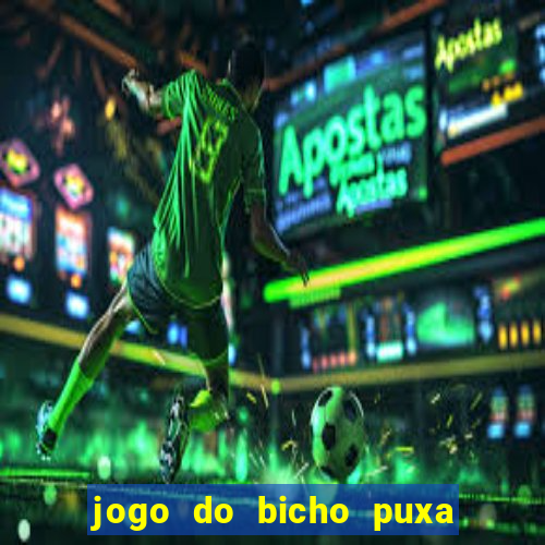 jogo do bicho puxa de dona maria