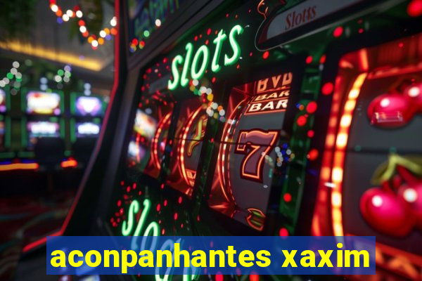 aconpanhantes xaxim