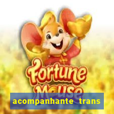 acompanhante trans porto seguro