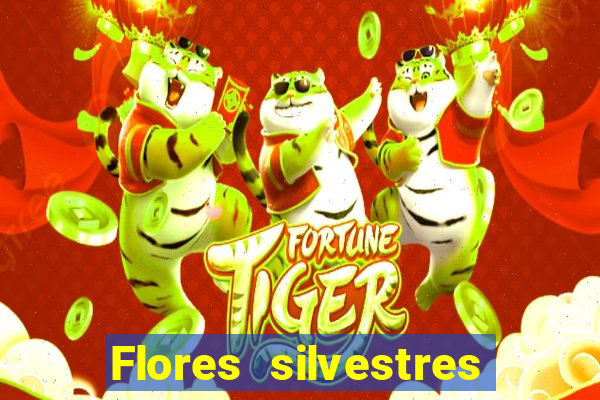 Flores silvestres brasileiras brasileiras flores silvestres nomes e imagens