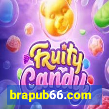 brapub66.com