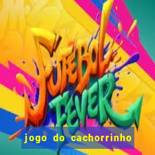 jogo do cachorrinho que ganha dinheiro