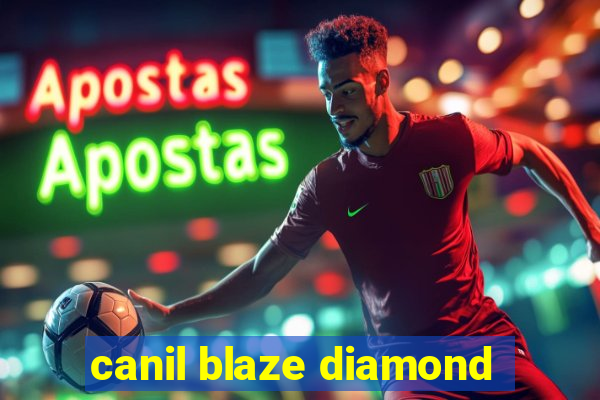 canil blaze diamond