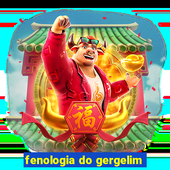 fenologia do gergelim