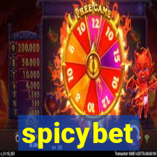 spicybet-1.com