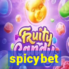 spicybet-2.com